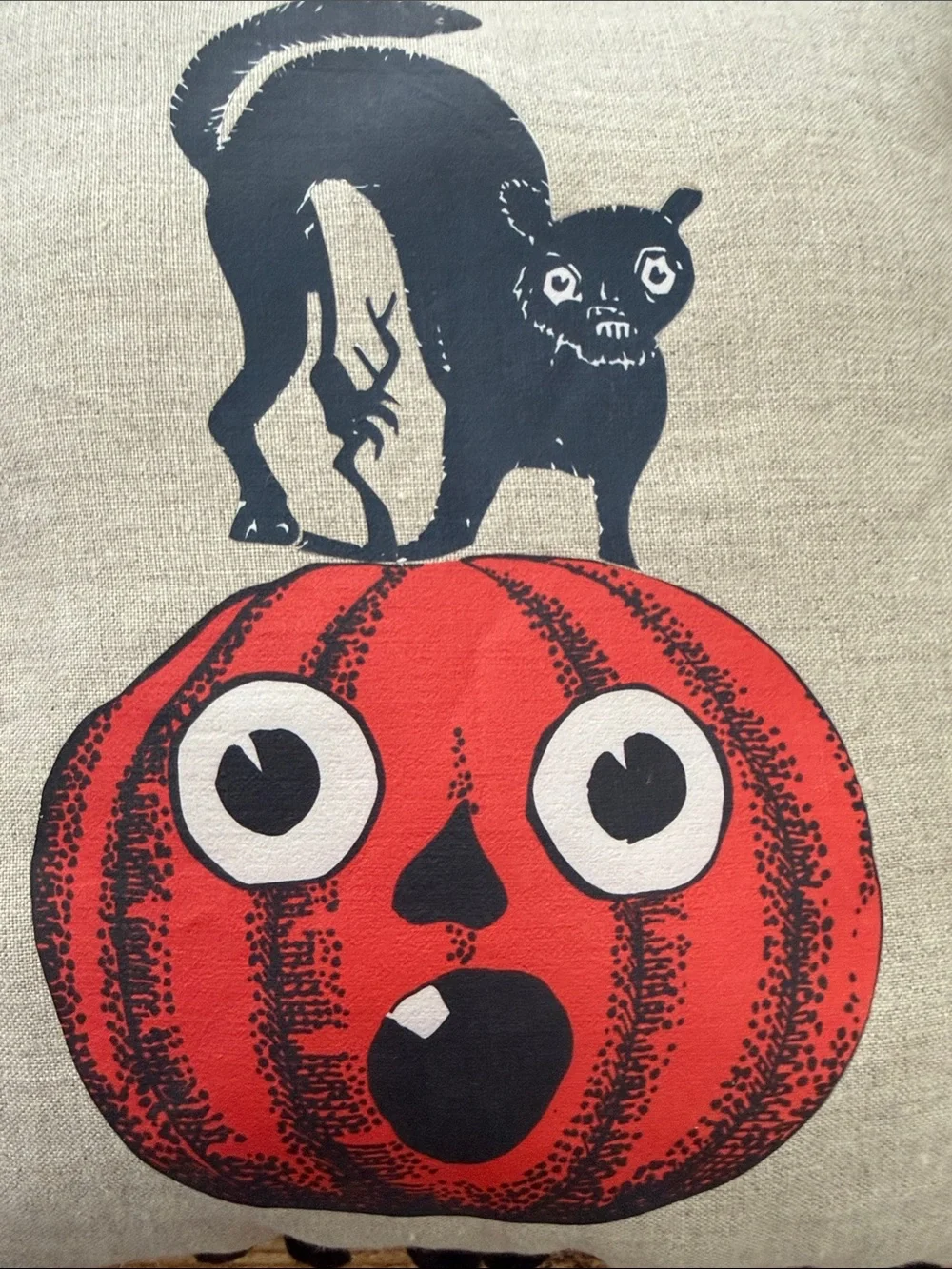 🎃Novelty Halloween Pillow
